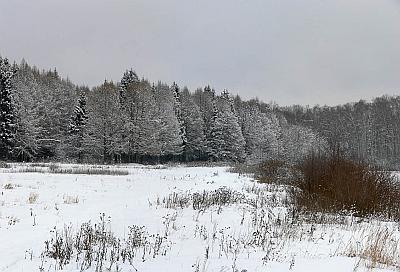Зимняя панорама. Автор: Андрей Смирнов