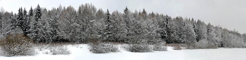 Зимняя панорама Автор: Андрей Смирнов