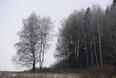 Зимний пейзаж. Автор: Андрей Смирнов