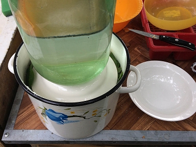 Брожение ещё не началось