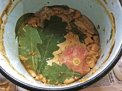 Квашеные дубовые листья