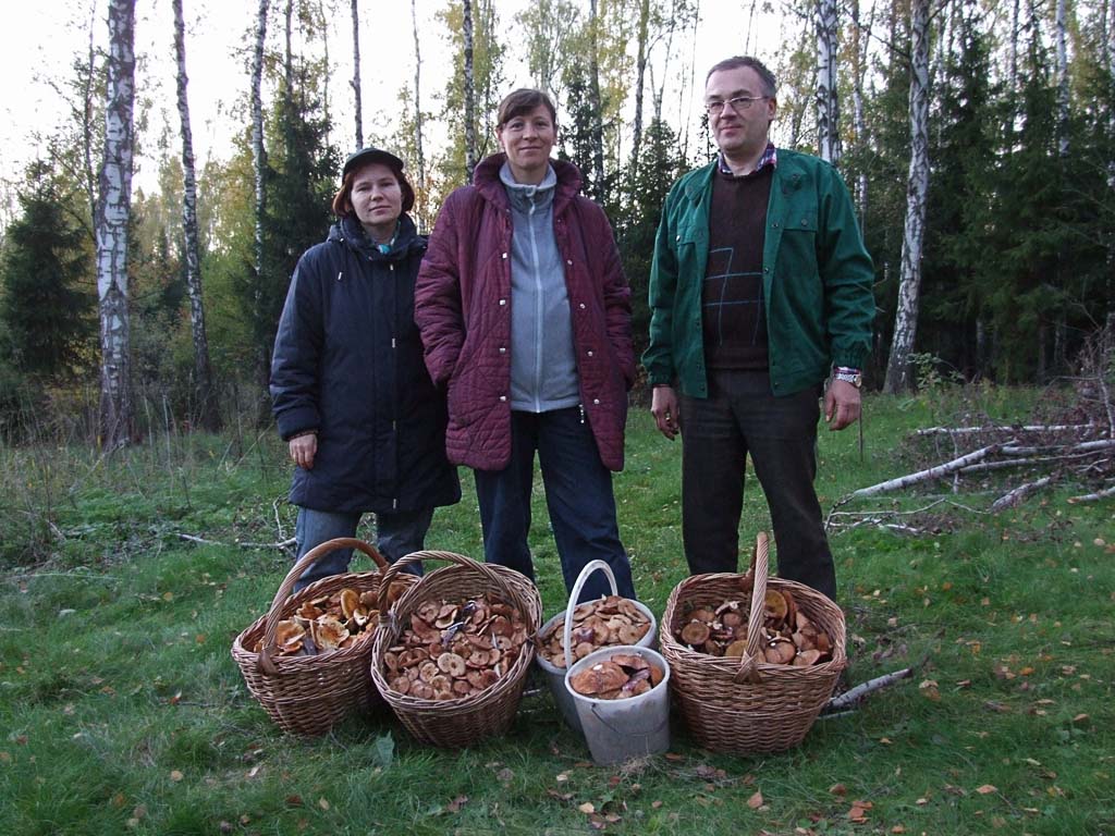 20 кило на троих...